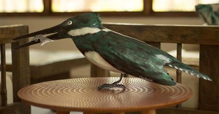 Savanna Orinoquia Lodge Orocué 外观 照片