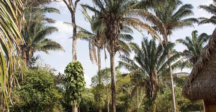 Savanna Orinoquia Lodge Orocué 外观 照片